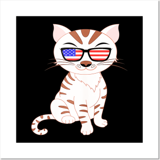 Cute Kitty Cat 4th July Usa American Flag Sunglasses Gift Posters and Art